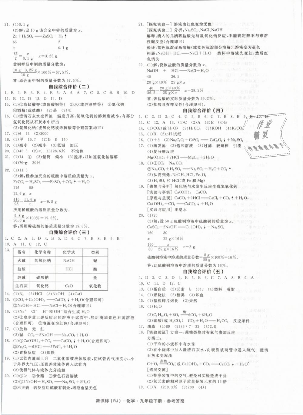 2019年全品学练考九年级化学下册人教版 第12页