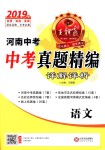 2019年王朝霞河南中考真題精編九年級(jí)語(yǔ)文下冊(cè)