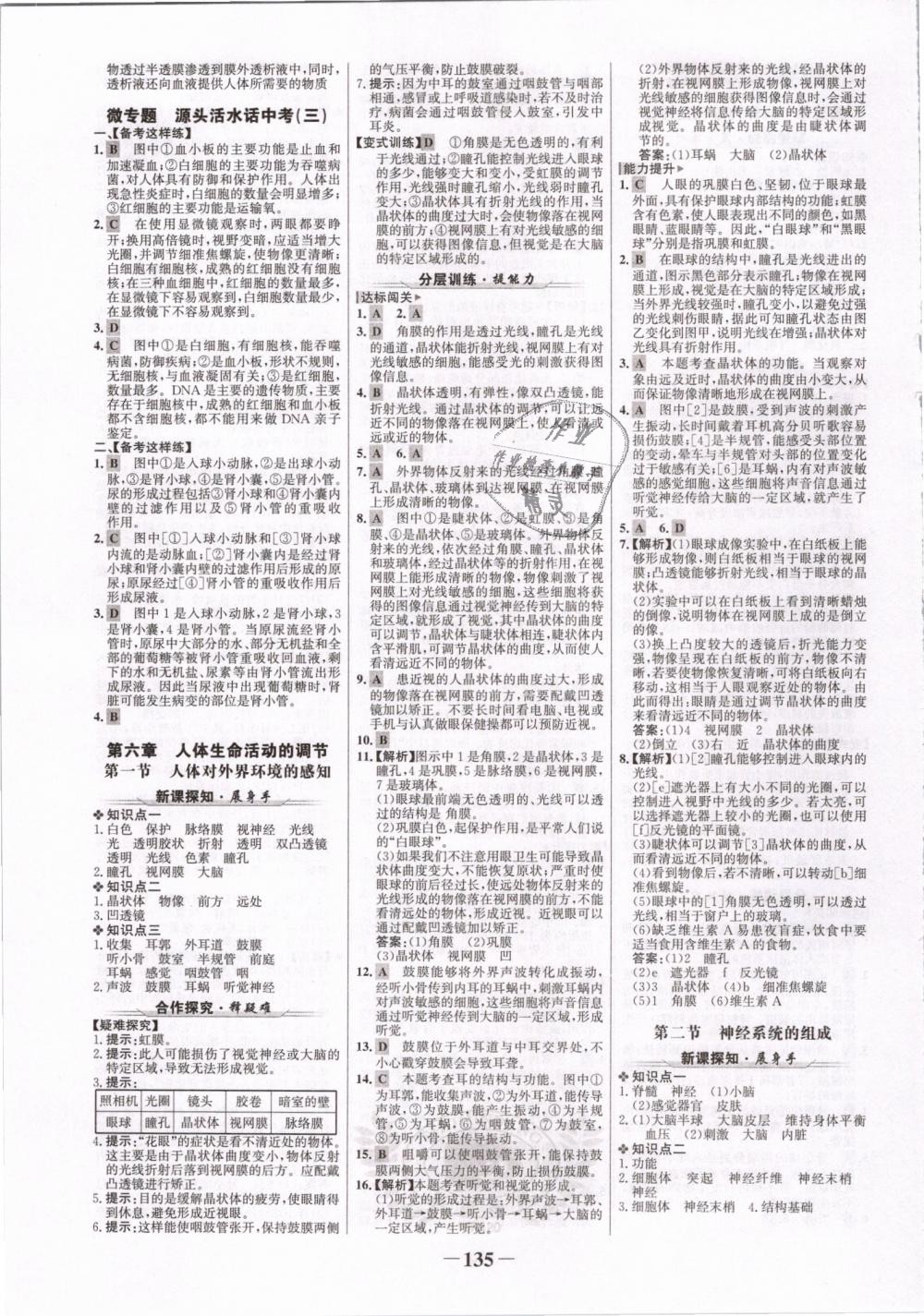 2019年世紀金榜金榜學案七年級生物下冊人教版 第11頁