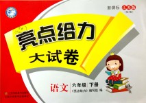 2019年亮点给力大试卷六年级语文下册江苏版