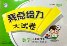 2019年亮點(diǎn)給力大試卷六年級(jí)數(shù)學(xué)下冊(cè)江蘇版