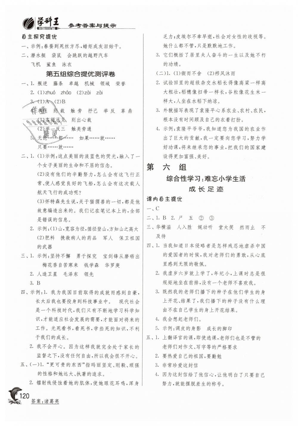 2019年實(shí)驗(yàn)班提優(yōu)訓(xùn)練六年級(jí)語文下冊(cè)人教版 第13頁