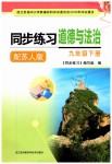 2019年同步练习九年级道德与法治下册苏人版江苏凤凰科学技术出版社