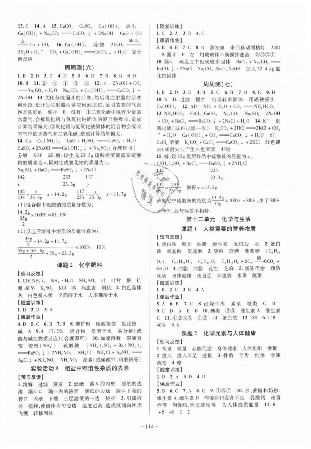 2019年課時(shí)掌控九年級(jí)化學(xué)下冊(cè)人教版 第6頁