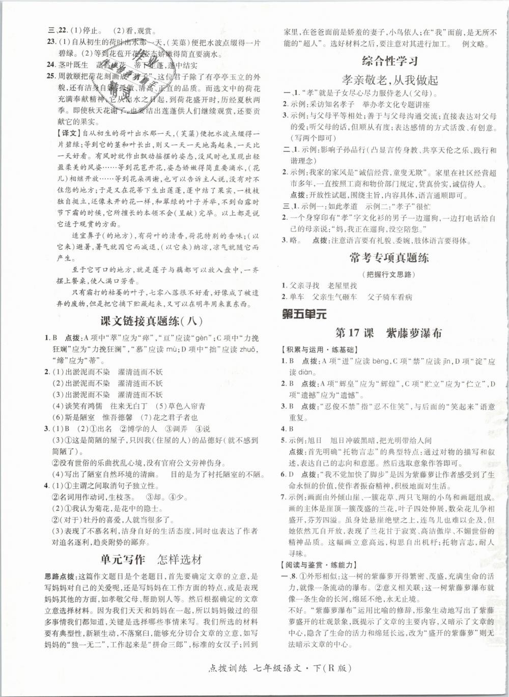 2019年點(diǎn)撥訓(xùn)練七年級(jí)語(yǔ)文下冊(cè)人教版 第17頁(yè)