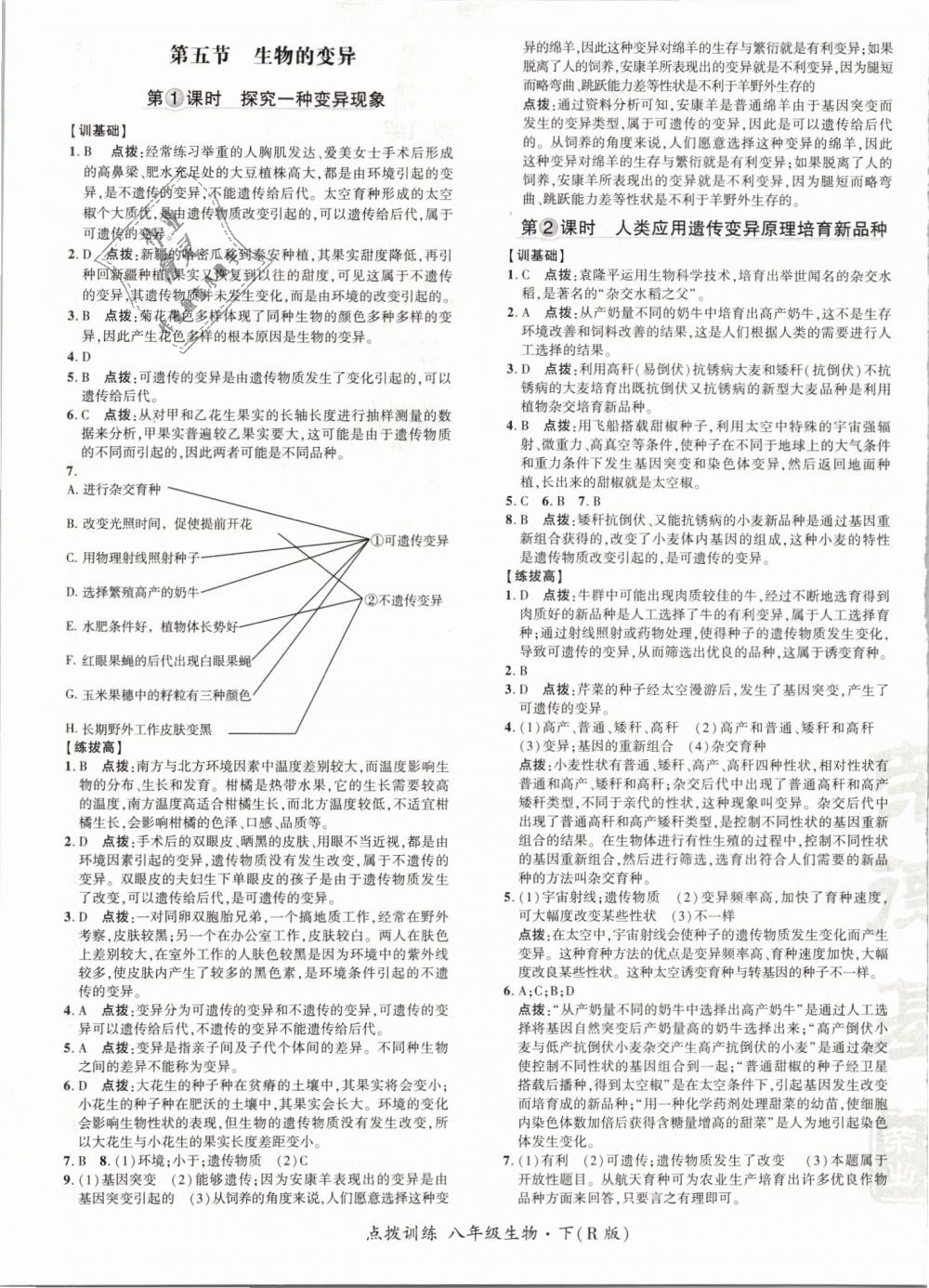 2019年點撥訓(xùn)練八年級生物下冊人教版 第13頁