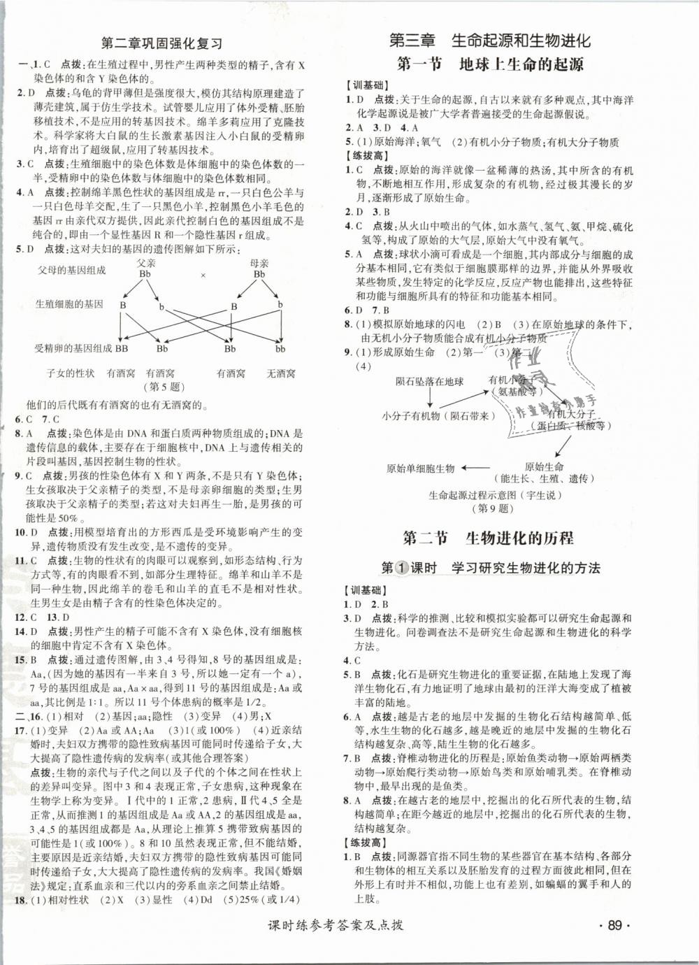 2019年點(diǎn)撥訓(xùn)練八年級(jí)生物下冊(cè)人教版 第14頁(yè)