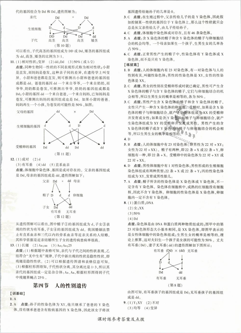 2019年點(diǎn)撥訓(xùn)練八年級生物下冊人教版 第12頁