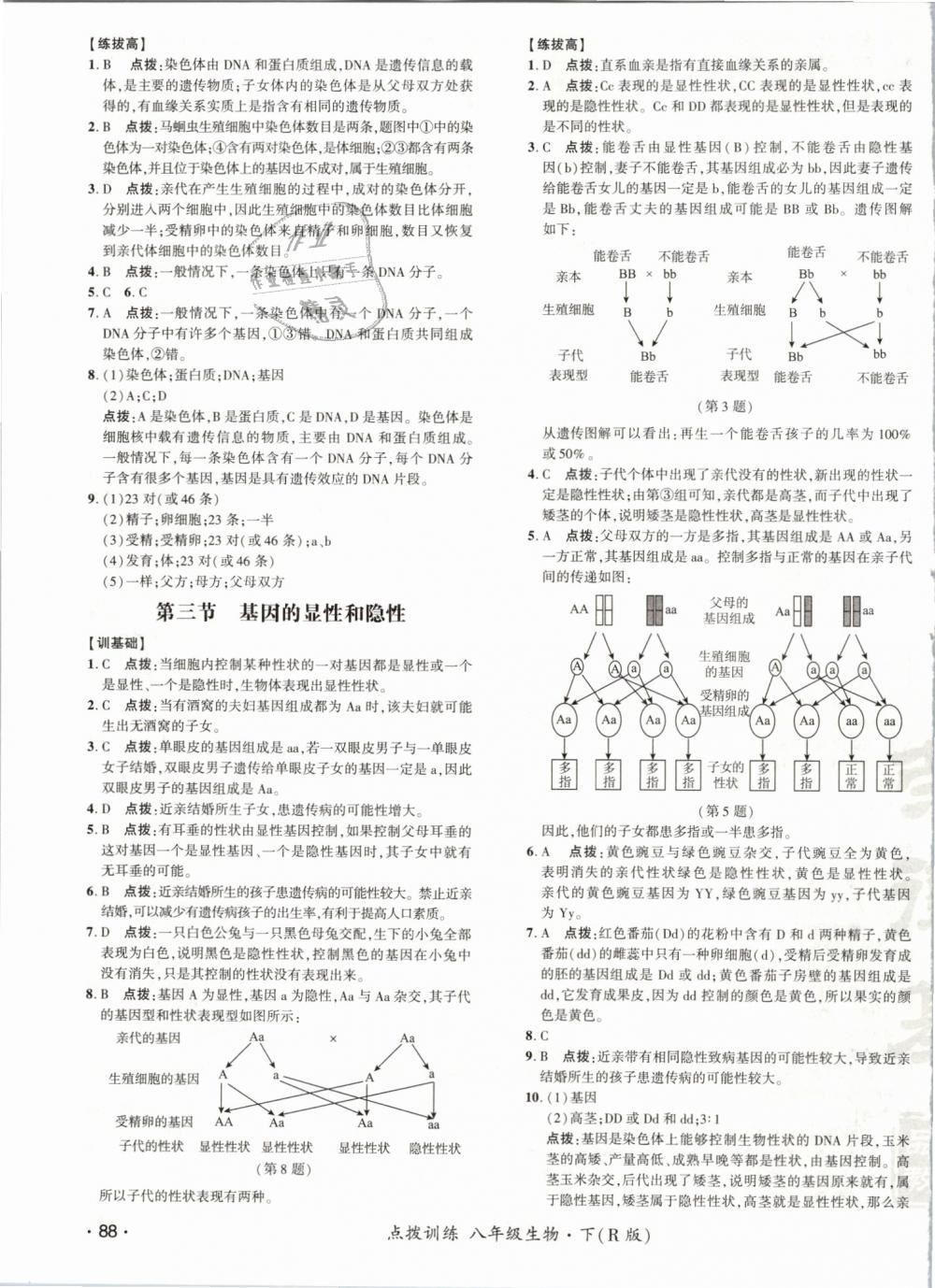 2019年點(diǎn)撥訓(xùn)練八年級(jí)生物下冊(cè)人教版 第11頁