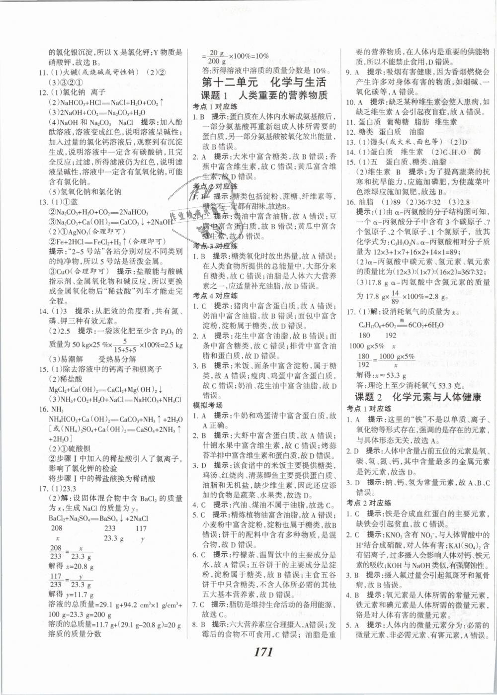 2019年全优课堂考点集训与满分备考九年级化学全一册下人教版 第27页