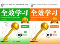 2019年全效學習八年級數(shù)學下冊浙教版創(chuàng)新版