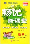 2019年暢優(yōu)新課堂六年級(jí)數(shù)學(xué)下冊(cè)人教版