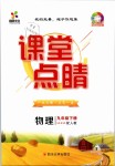 2019年課堂點(diǎn)睛九年級物理下冊人教版