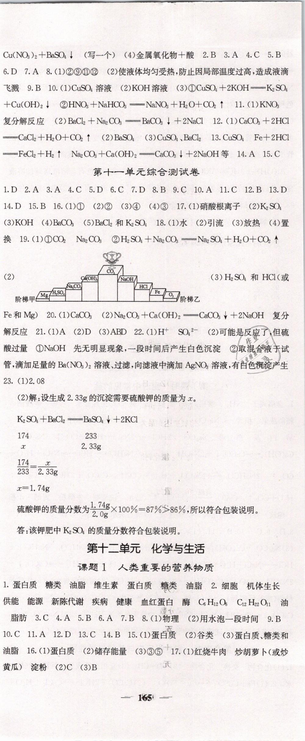 2019年课堂点睛九年级化学下册人教版 第17页