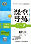 2019年課堂導(dǎo)練1加5七年級數(shù)學(xué)下冊人教版