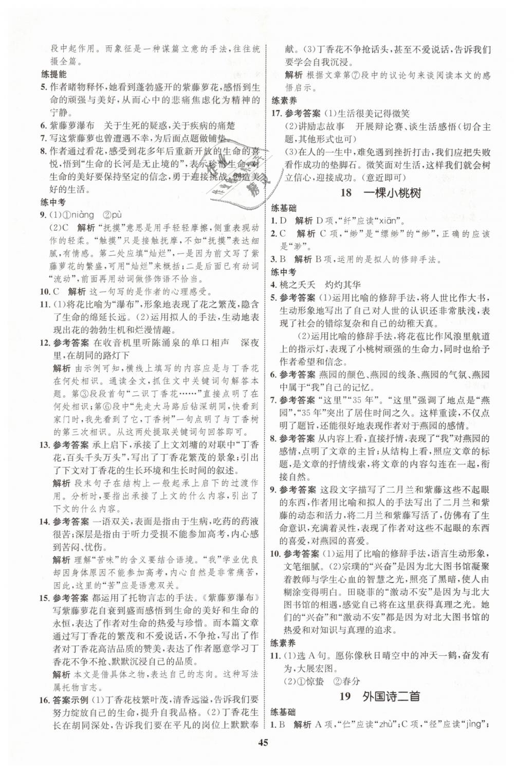 2019年初中同步学考优化设计七年级语文下册人教版 第13页