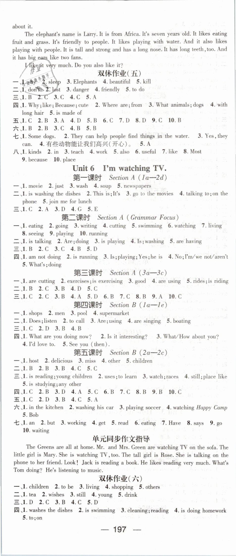 2019年名师测控七年级英语下册人教版 第5页