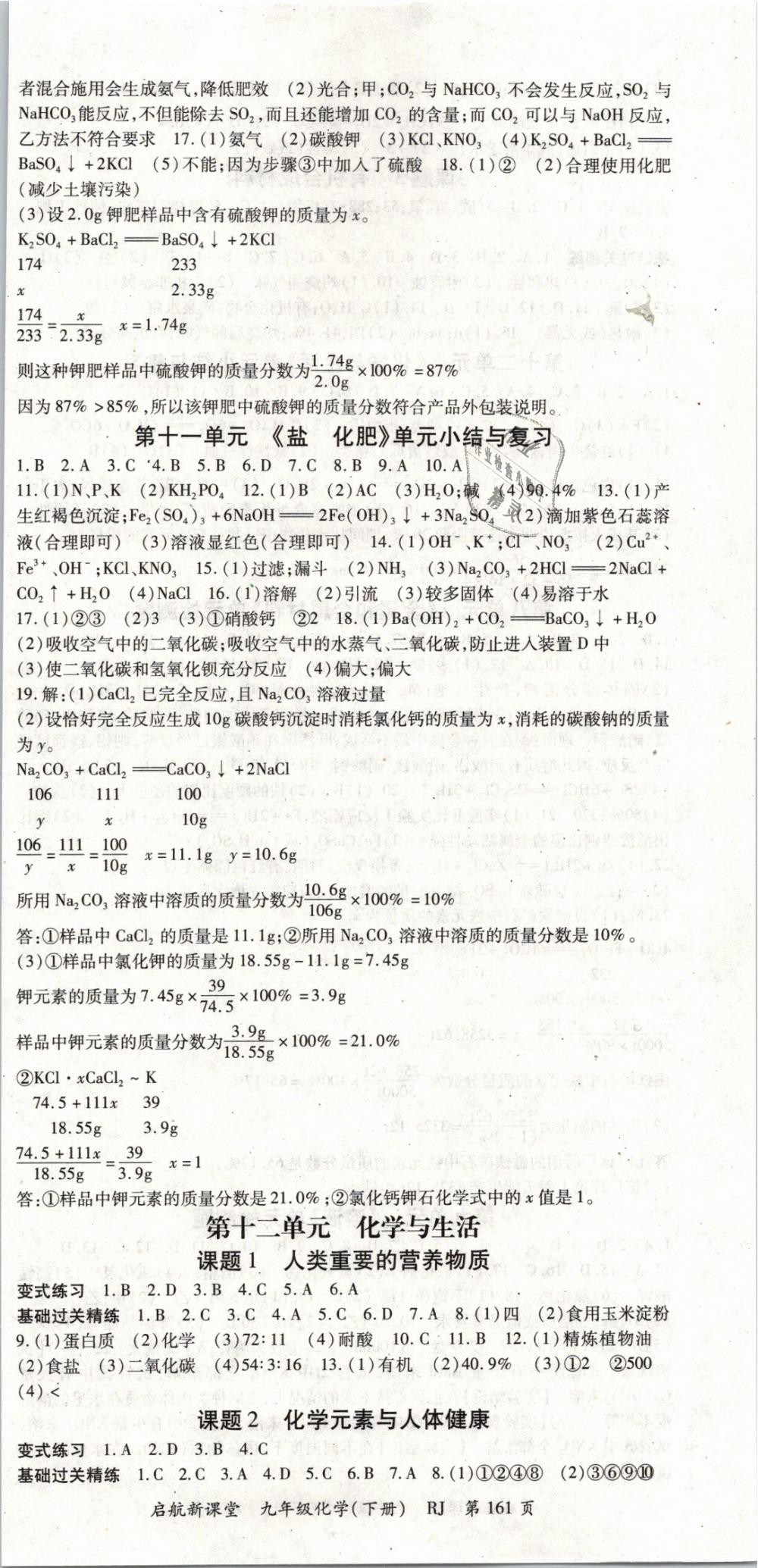 2019年啟航新課堂九年級化學下冊人教版 第9頁