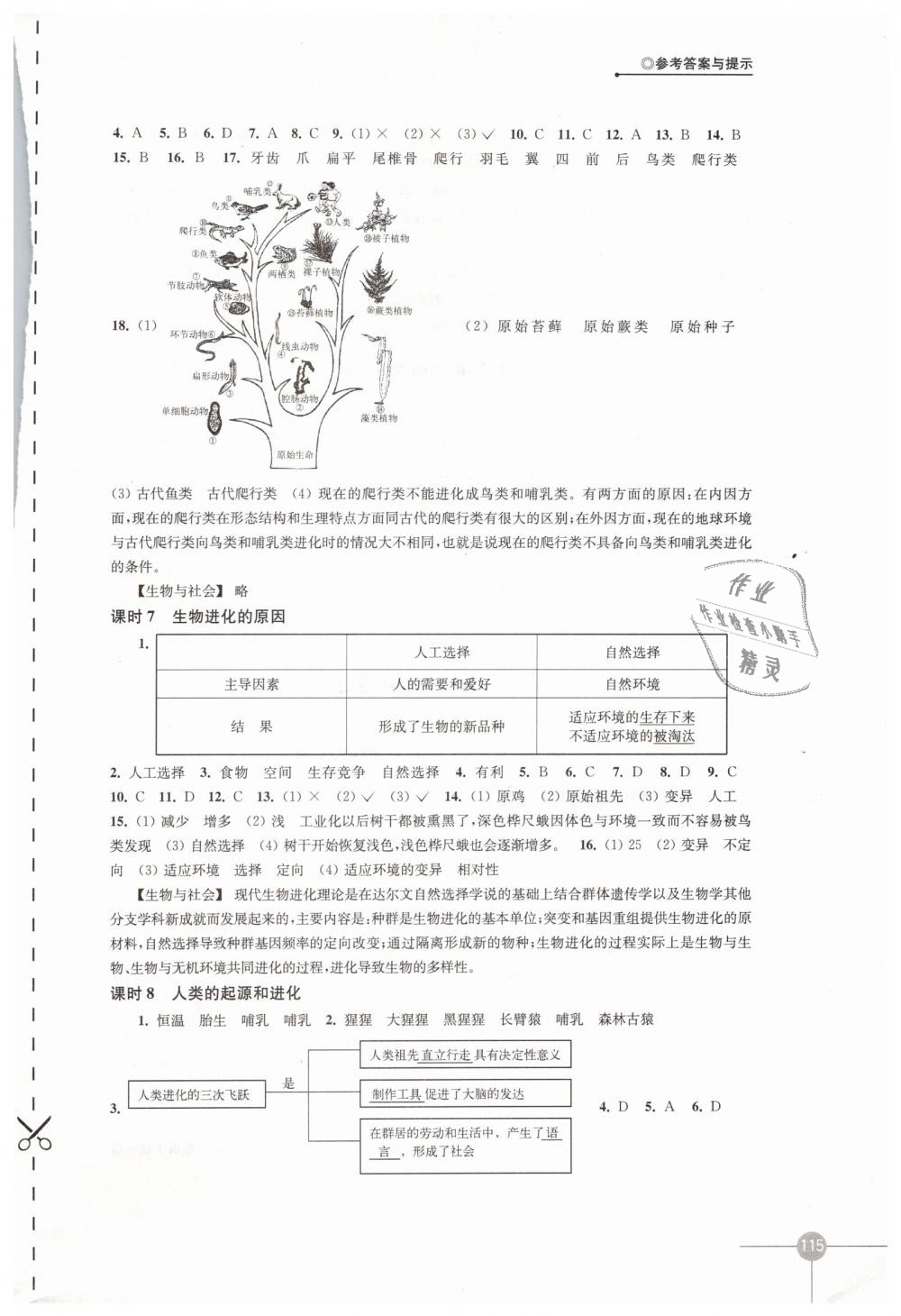 2019年课课练初中生物学八年级下册苏科版 第3页