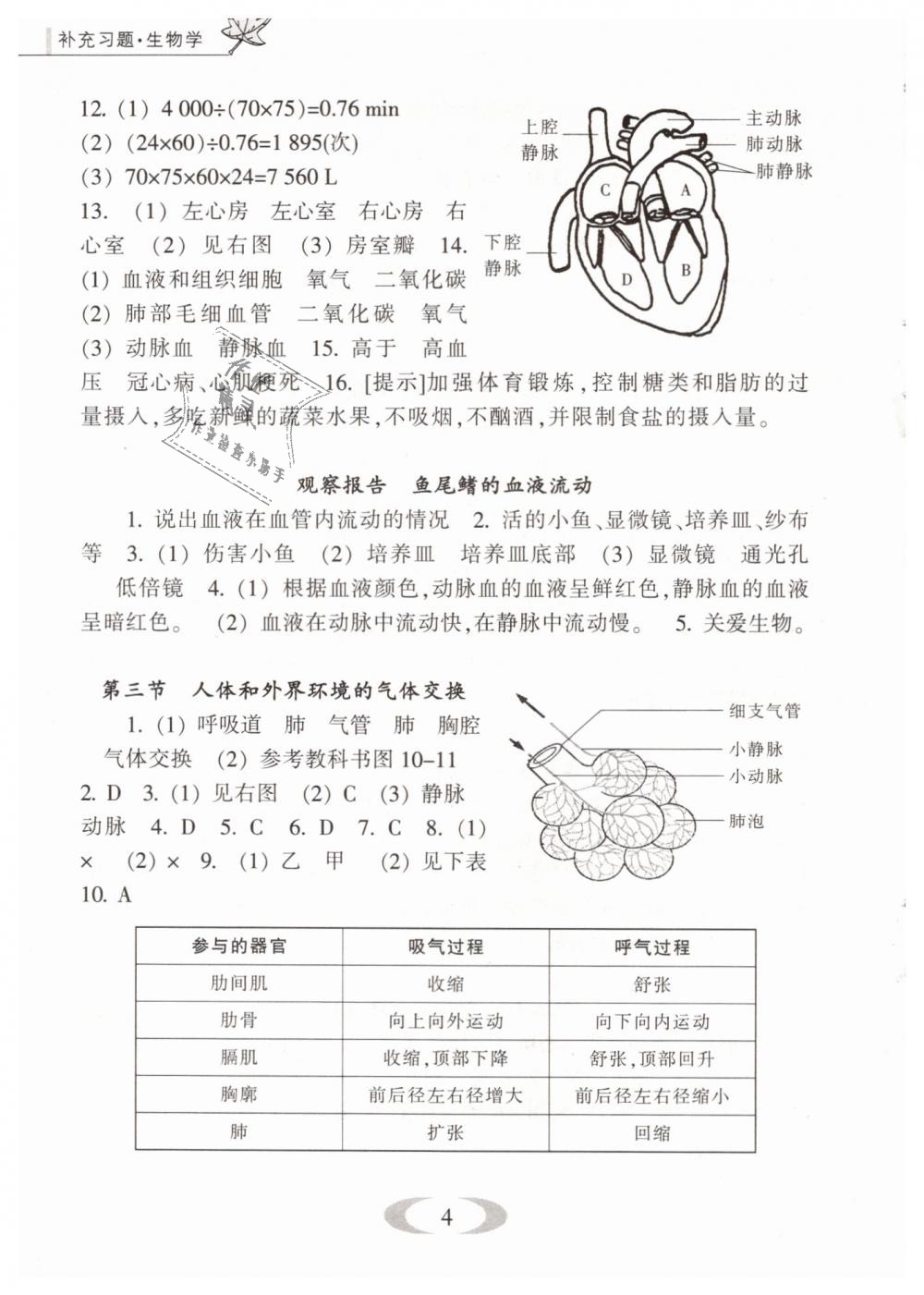 2019年補(bǔ)充習(xí)題七年級(jí)生物學(xué)下冊(cè)蘇教版江蘇鳳凰教育出版社 第4頁(yè)