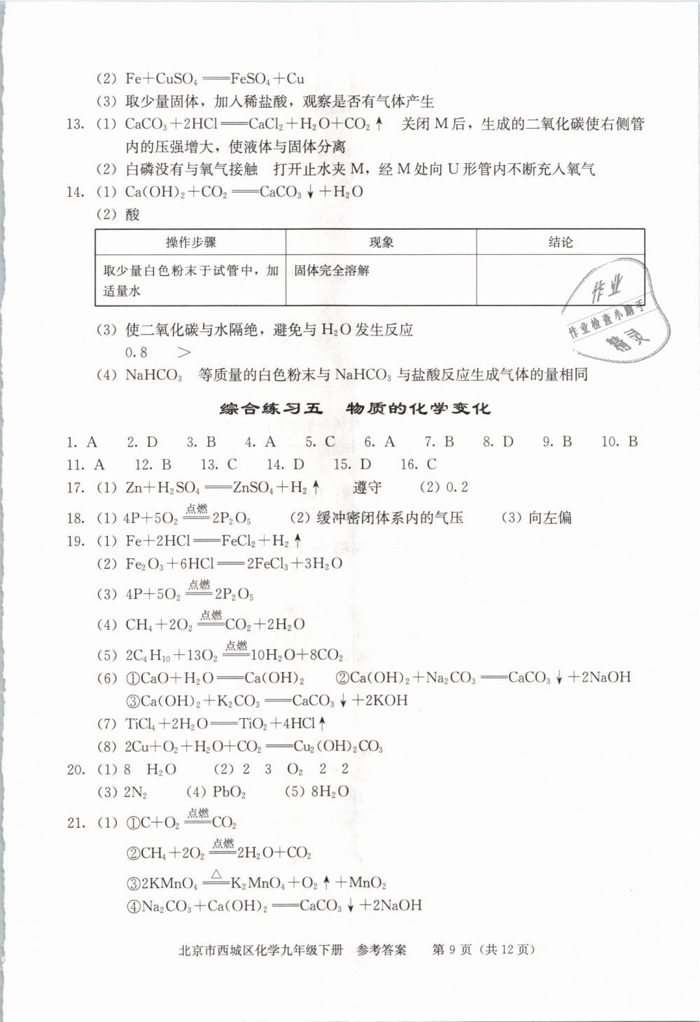 2019年學(xué)習(xí)探究診斷九年級化學(xué)下冊人教版 第9頁