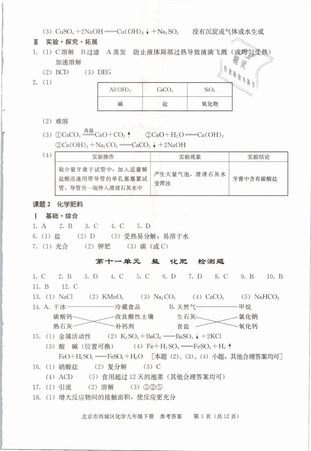 2019年學習探究診斷九年級化學下冊人教版 第5頁