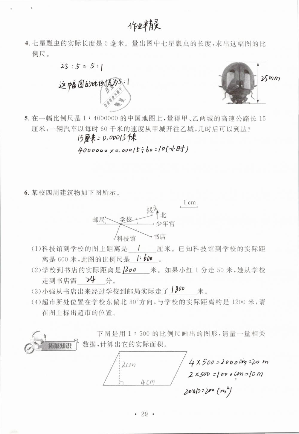 2019年名师讲堂单元同步学练测六年级数学下册北师大版 参考答案第29页