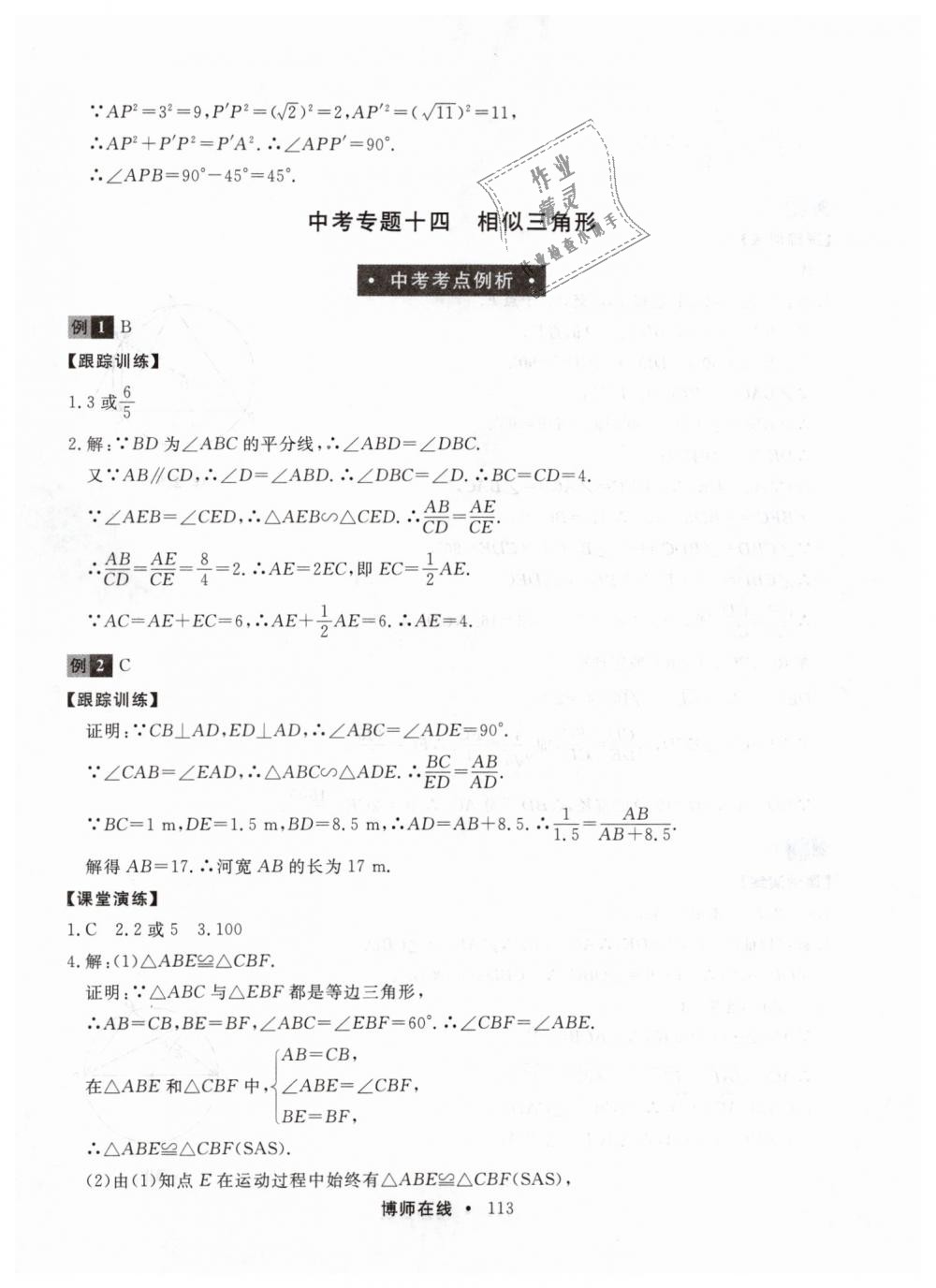 2019年博师在线九年级数学全一册人教版 第25页