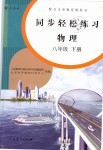 2019年同步輕松練習八年級物理下冊人教版