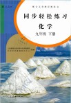 2019年同步輕松練習九年級化學下冊人教版