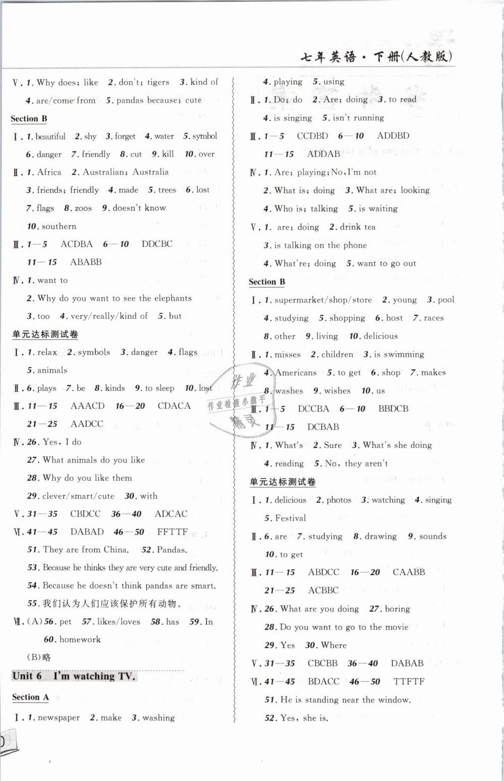 2019年北大綠卡課課大考卷七年級(jí)英語(yǔ)下冊(cè)人教版 第4頁(yè)