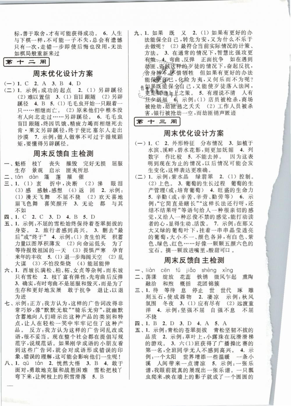 2019年亮點給力周末優(yōu)化設(shè)計大試卷六年級語文下冊江蘇版 第8頁