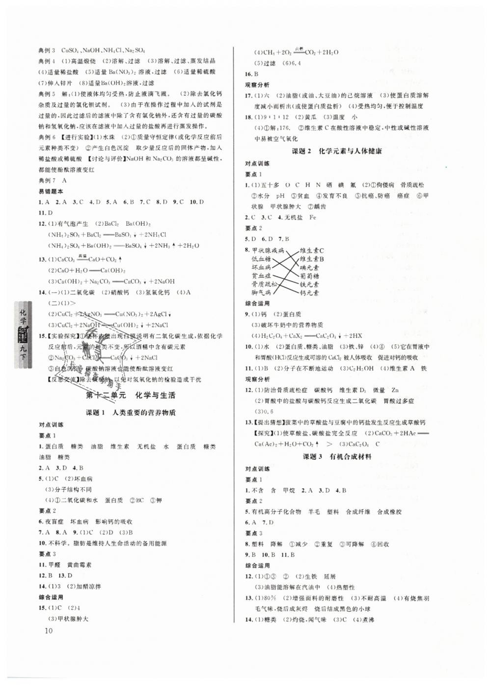 2019年蓉城学堂课课练九年级化学下册人教版 第10页