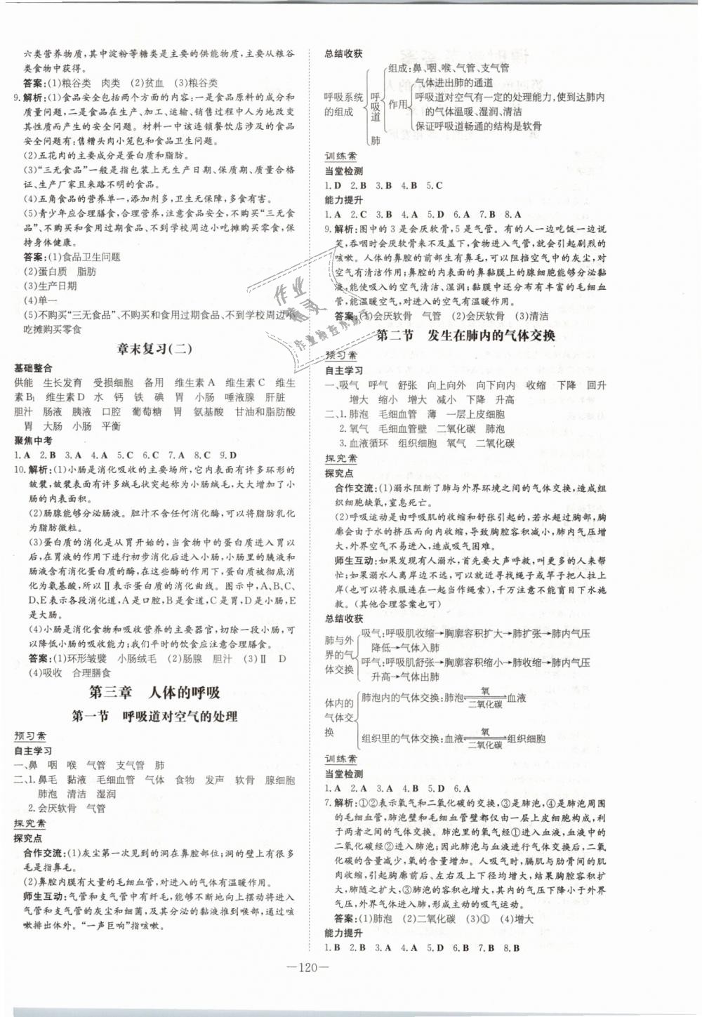 2019年初中同步学习导与练导学探究案七年级生物下册人教版 第4页