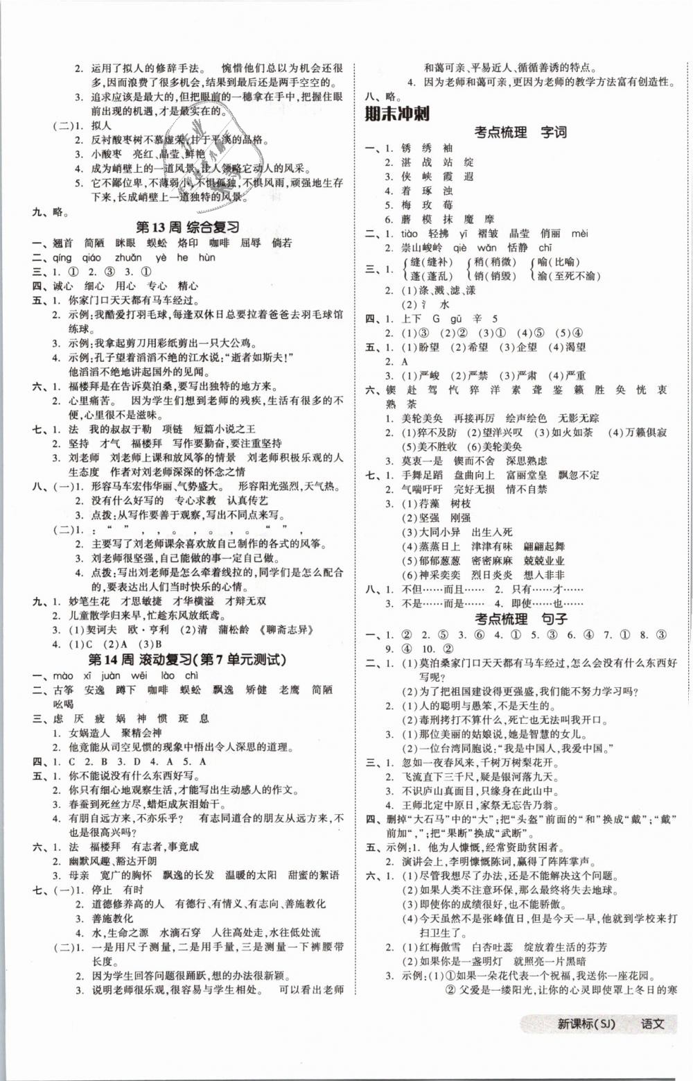 2019年全品小复习六年级语文下册苏教版 第5页