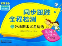 2019年同步跟蹤全程檢測(cè)及各地期末試卷精選六年級(jí)英語(yǔ)下冊(cè)江蘇版