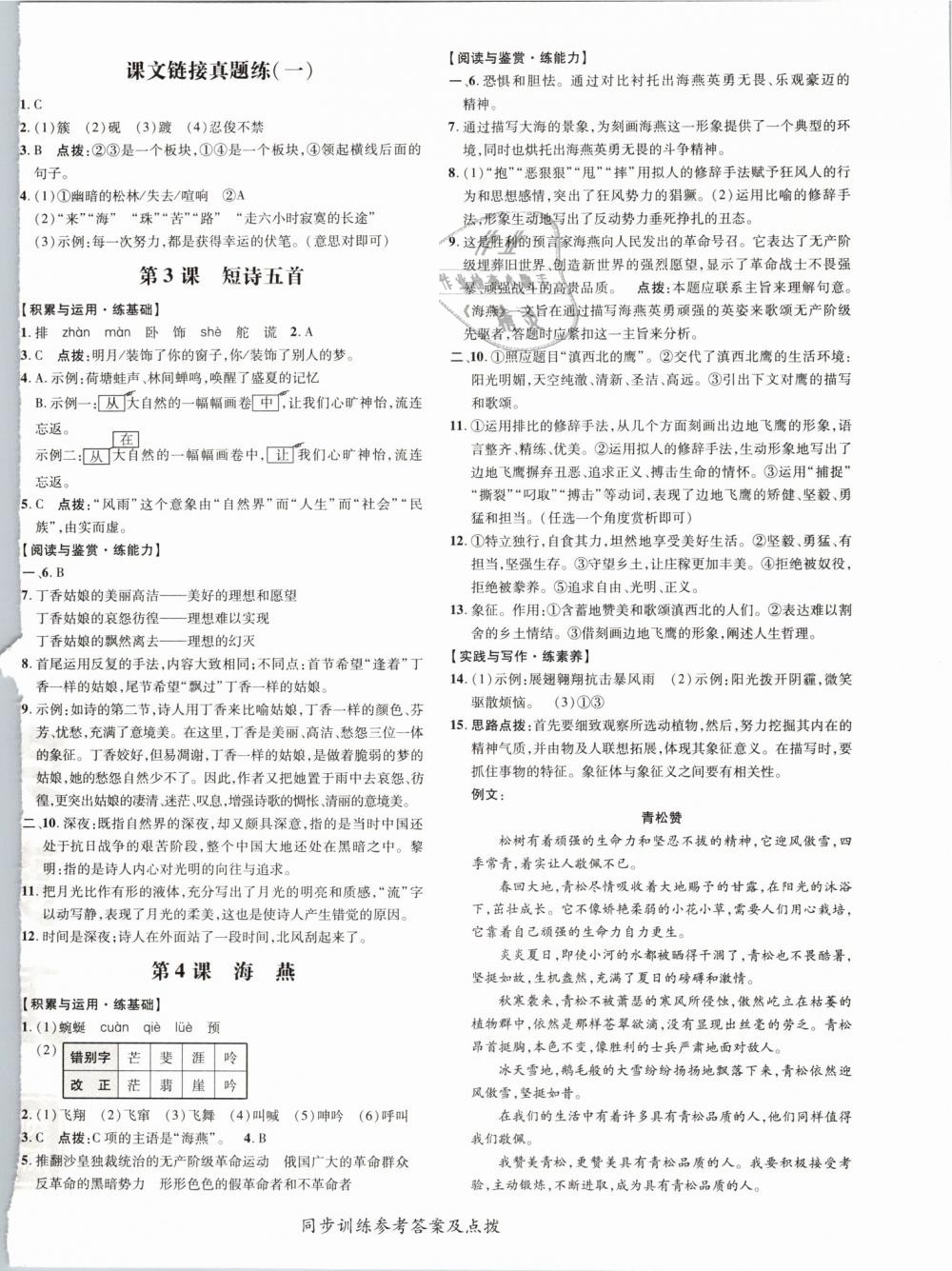 2019年點(diǎn)撥訓(xùn)練九年級(jí)語文下冊(cè)人教版 第8頁