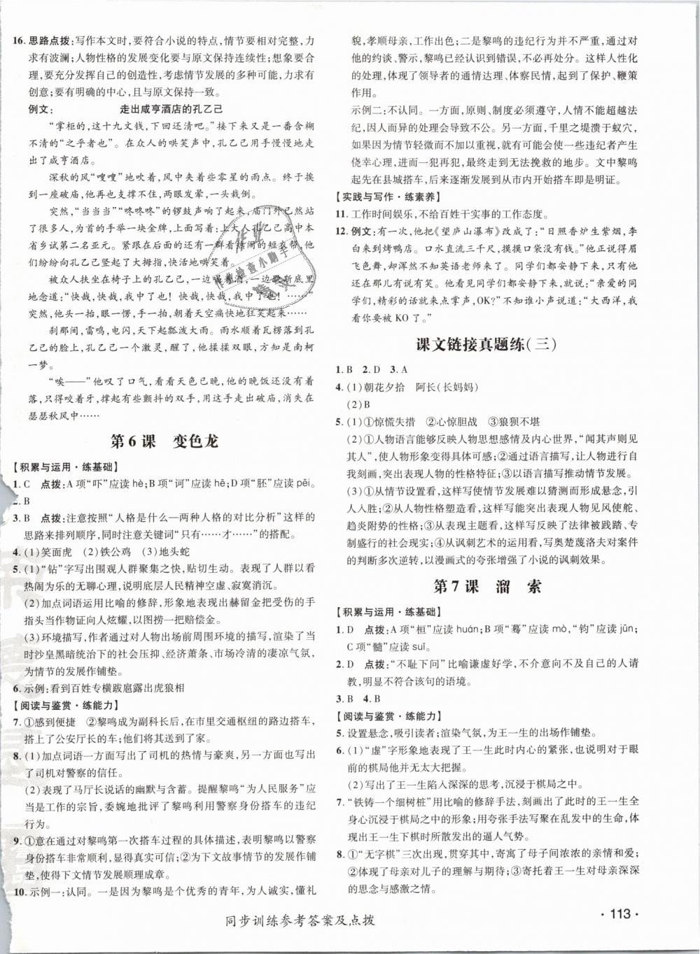 2019年点拨训练九年级语文下册人教版 第10页