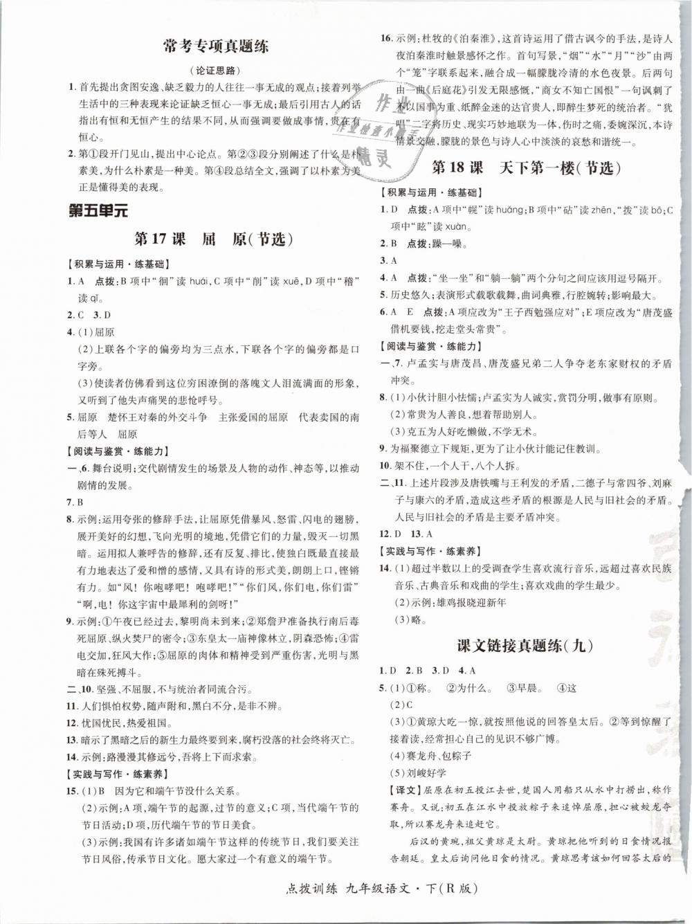 2019年點撥訓練九年級語文下冊人教版 第17頁