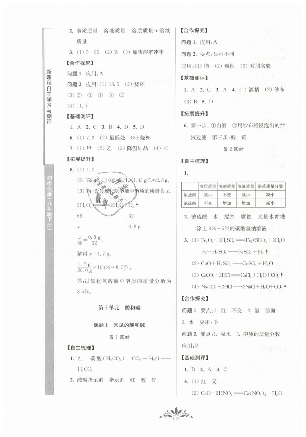 2019年新课程自主学习与测评初中化学九年级下册人教版 第4页