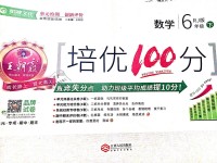 2019年王朝霞培優(yōu)100分六年級(jí)數(shù)學(xué)下冊(cè)人教版