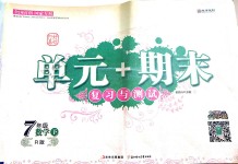 2019年單元加期末復習與測試七年級數學下冊人教版