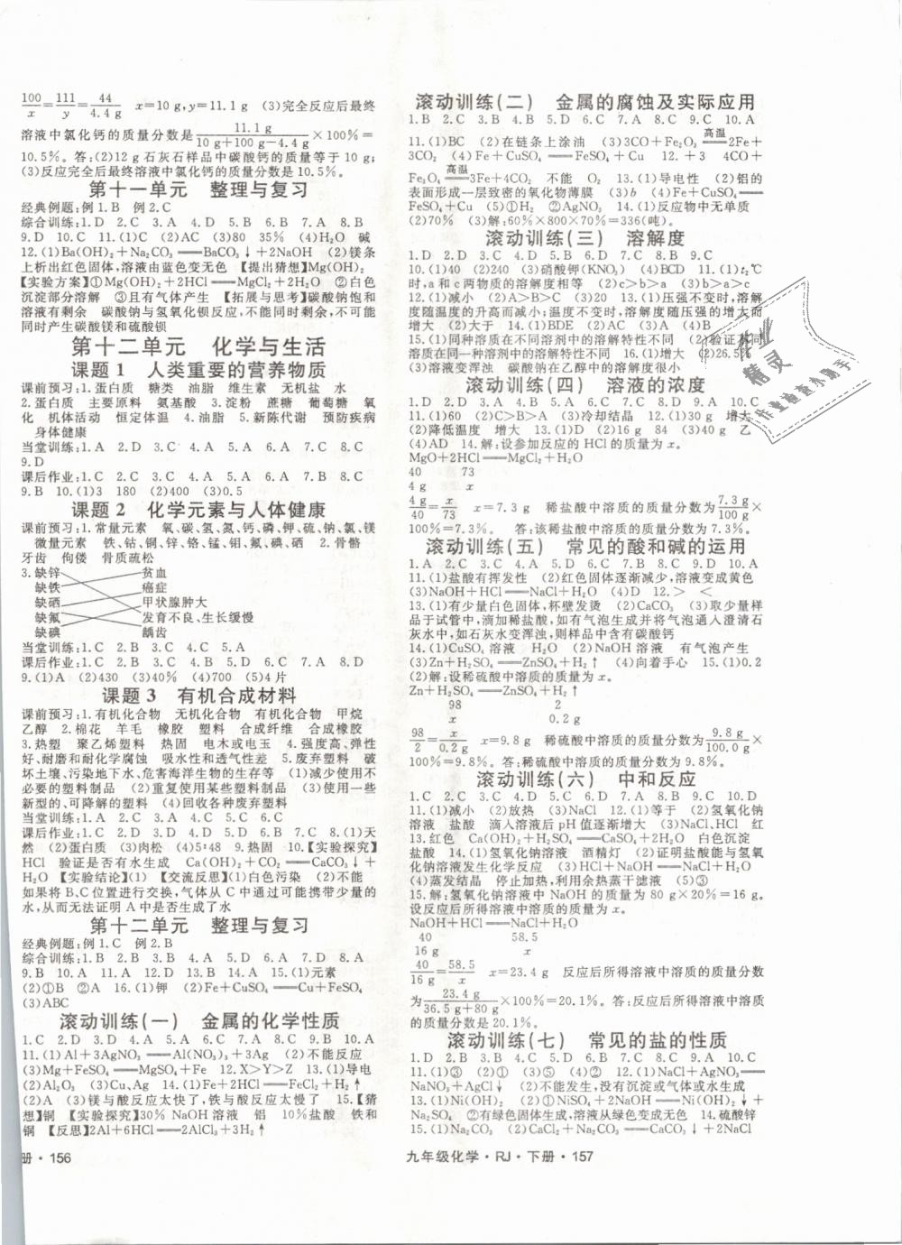 2019年名師大課堂九年級化學(xué)下冊人教版 第6頁