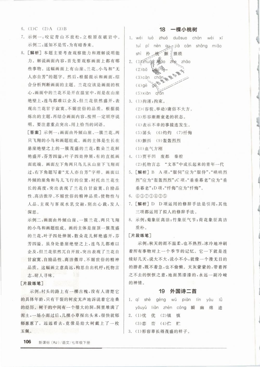 2019年全品基礎小練習七年級語文下冊人教版 第12頁