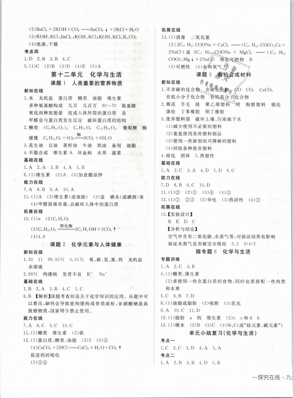 2019年探究在線高效課堂九年級化學(xué)下冊人教版 第13頁