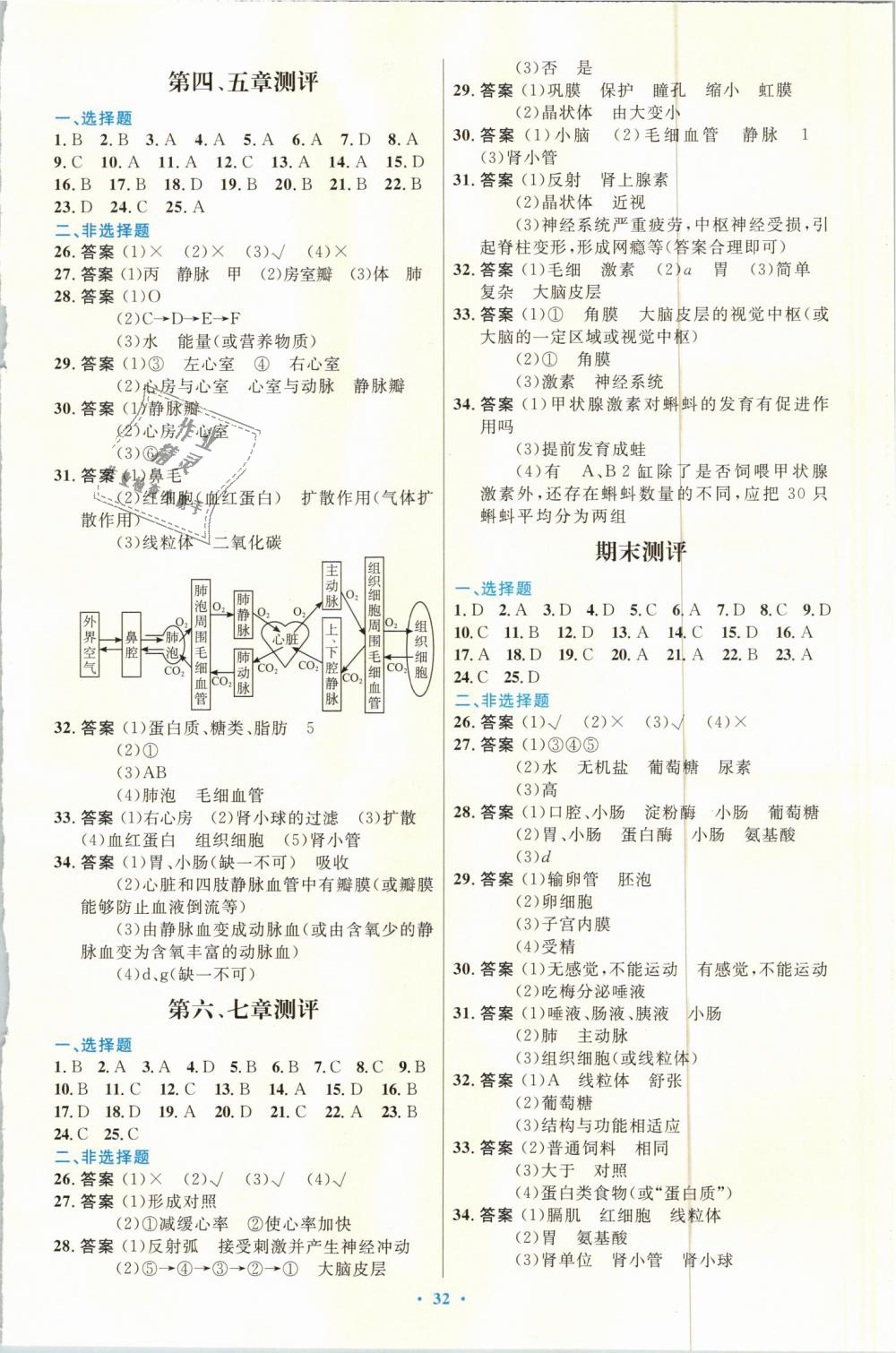 2019年初中同步测控优化设计七年级生物学下册人教版福建专版 第8页