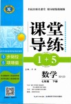 2019年課堂導(dǎo)練1加5七年級數(shù)學(xué)下冊北師大版