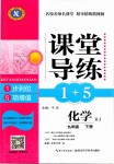 2019年課堂導(dǎo)練1加5九年級化學(xué)下冊人教版