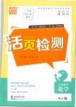 2019年通城學典活頁檢測九年級化學下冊人教版