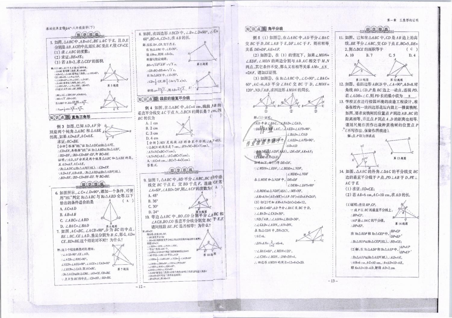 2019年蓉城优课堂给力A加八年级数学下册北师大版 第7页